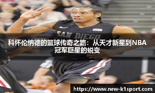 k1体育官网